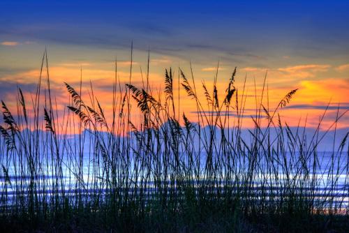 Ortona Park Resort | Daytona Beach Resort Condos