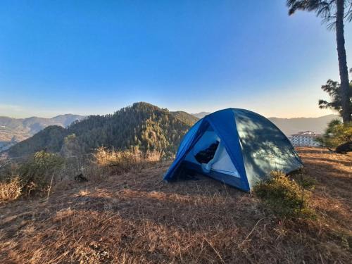 Shimla Other | Delicate camp