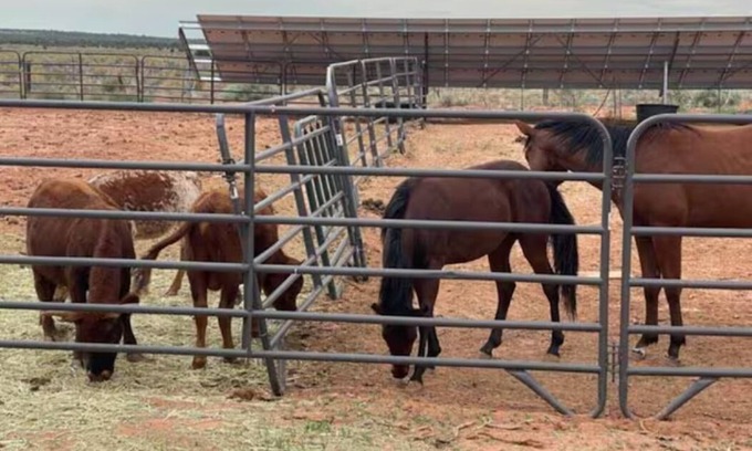 Fredonia Cabin | Denim and Diamonds @ The Wild West 40