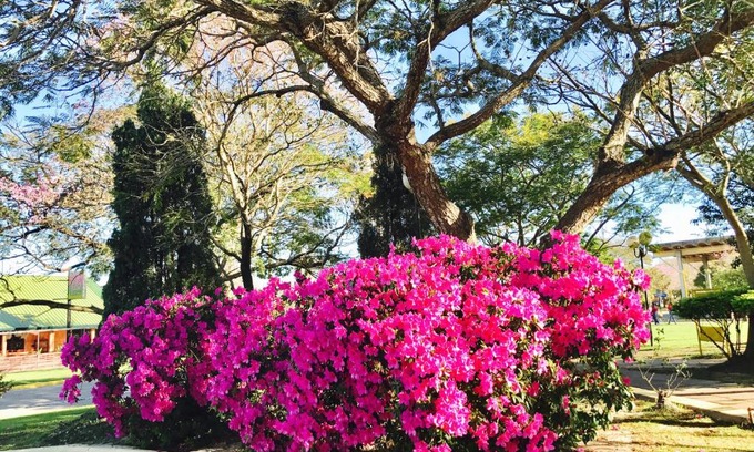 Federacion Apartment | Departamentos temporarios Mirasol lll Federaciòn