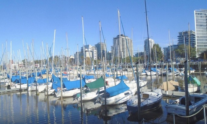 Olivos Apartment | Depto Olivos Zona Puerto