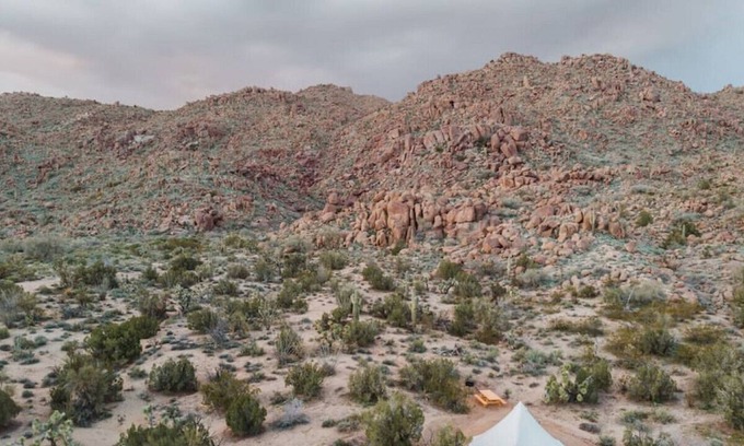 Yucca RV Rental | Desert Glamping Escape w/ Shared Bathroom: Canyon at Ravari (6 of 6)