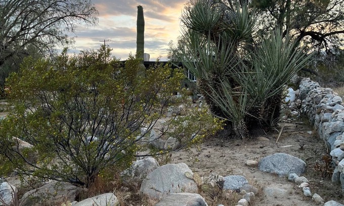 Morongo Valley House | Desert Retreat Home - 3 Bedroom 2 Bath