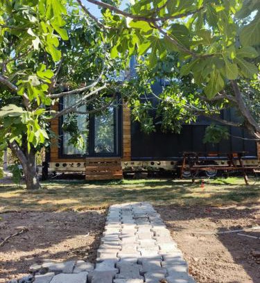 Dikili Other | Dikili ZeyTiny House
