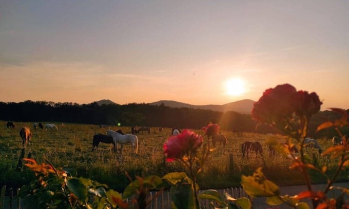 Bad Honnef Condo | Direkt im Naturpark Siebengebirge