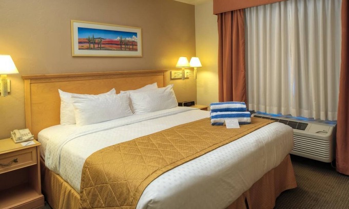 Palo Verde House | Discover Budget Stay @ Heart of Tucson: 4 Large Units Near Pima Space Museum!