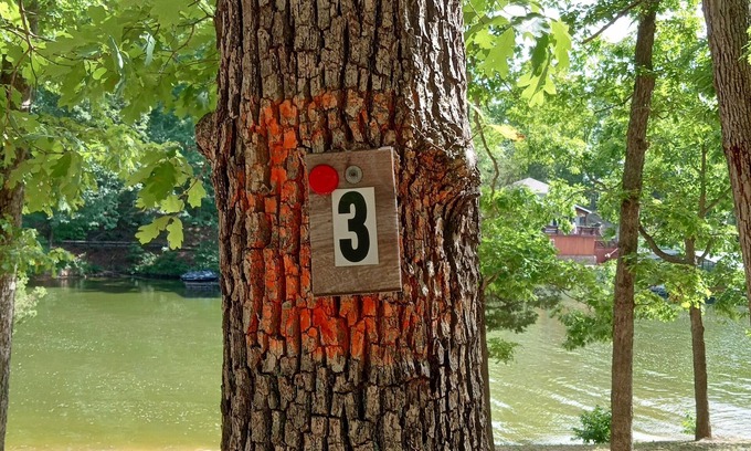 Lake of the Ozarks RV Rental | DnD Campground Site #3 Beach Front and Lakeview
