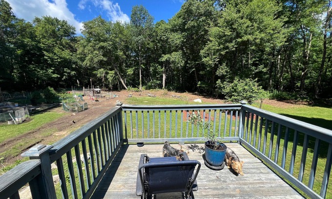 Hampton Other | Dog lover’s retreat with acres to roam, farm animals, and plenty to explore!