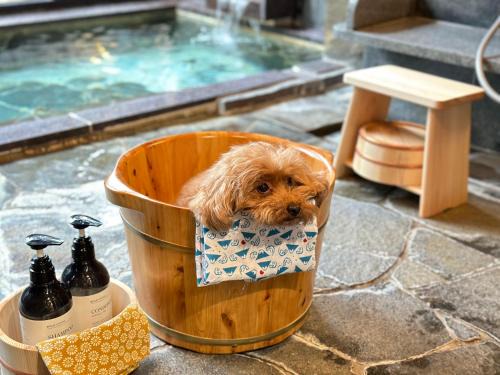Yawatano Hotel | Doggy's Izujogasaki