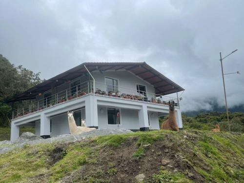 Calacali Apartment | Dogsland Bellevue - Bienvenidos - Ferienwohnungen