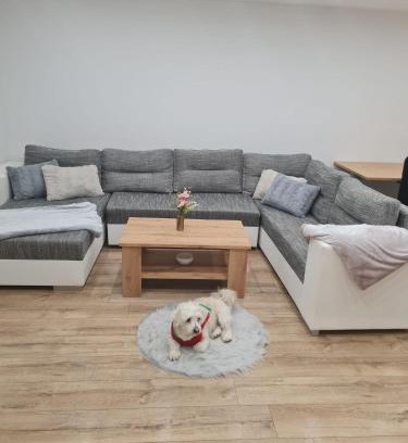 Zilina House | Dom pri rieke s parkovaním
