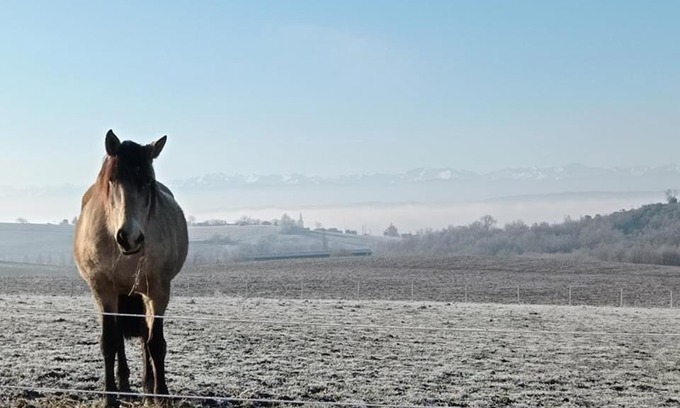 Cintegabelle House | Domaine de buffevent