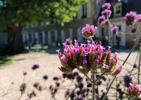 Meung-sur-Loire House | Domaine Saint-Hilaire