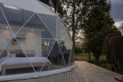 Rotorua District Other | DomeHome