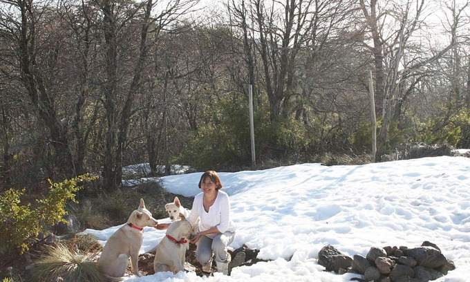 Pinto House | Don Guillermo Cabins