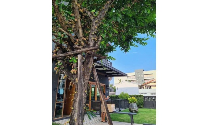 Thung Song Hong Apartment | Don Muang Lantern Suites with Maid Service