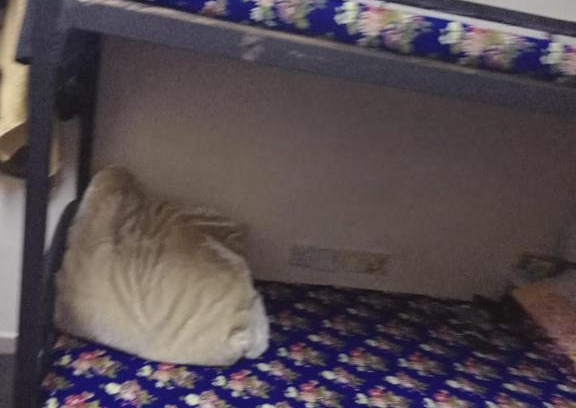 Al Majaz Apartment | dormitory bed space for male and female