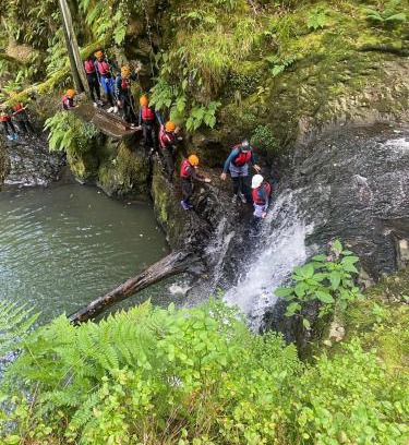 Abercwmboi House | Earth Pod 2 Pet Friendly