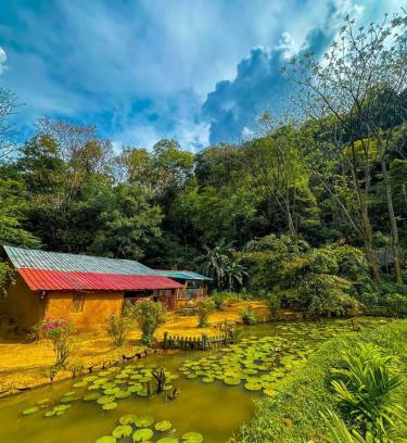 Meemure Hotel | Eco Lodge Meemure & Adventure Park