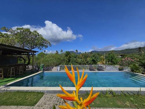 Pejarakan Hotel | Eco Moringa Garden