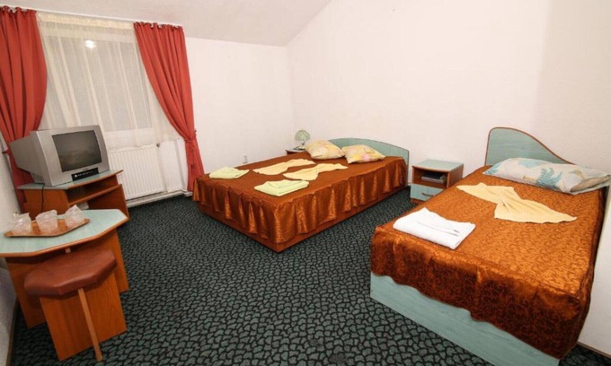 Predeal Apartment | Economy Triple Room, Mountain View