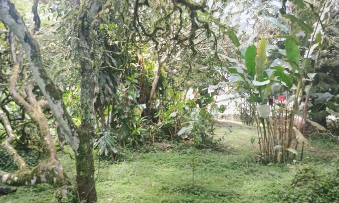 Dagua Hotel | Ecopolis