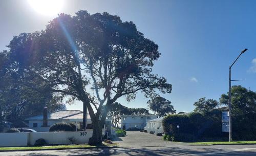 Orewa Hotel | Edgewater Motel