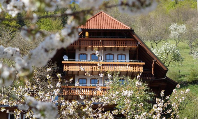 Bad Peterstal-Griesbach Apartment | Ehrenmättlehof Faißt