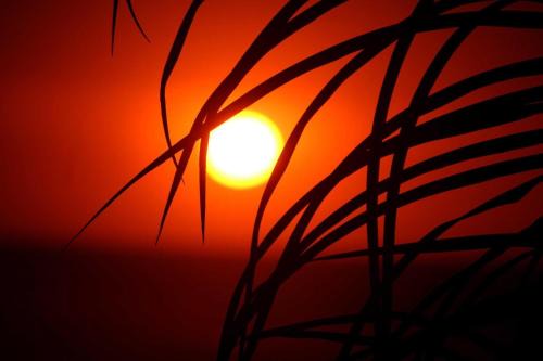 Punta Sal Apartment | El Cottage de Vaco