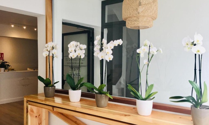 Santa Cruz de la Palma Hotel | El Hotelito 27