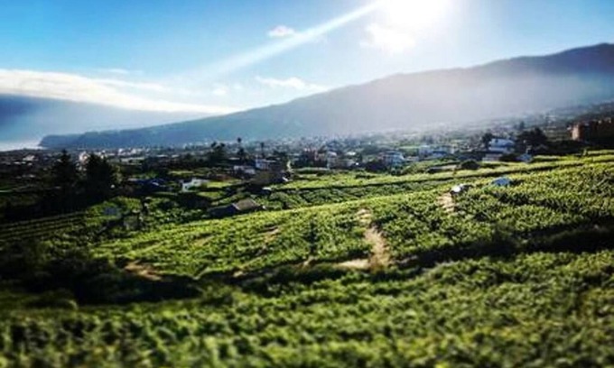 La Perdoma Cottage | EL LAGAR RURAL HOUSE -