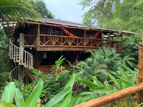 Parroquia Tarqui Cabin | El Mono de Pacoche