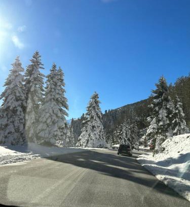 Elati Apartment | Elati Mansion