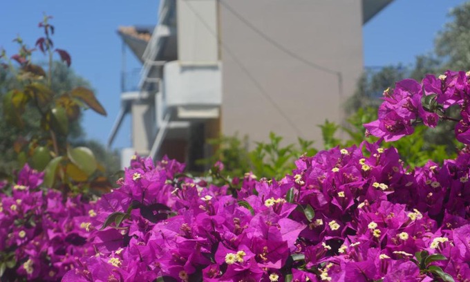 Zalongo House | Eleonas Apartments