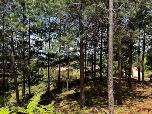 Gomez Plata Other | eMeGé Glamping & E-Coworking