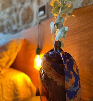 Castro Daire House | Emily's House