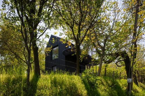 Baiculesti Ski Chalet | Enache's 217