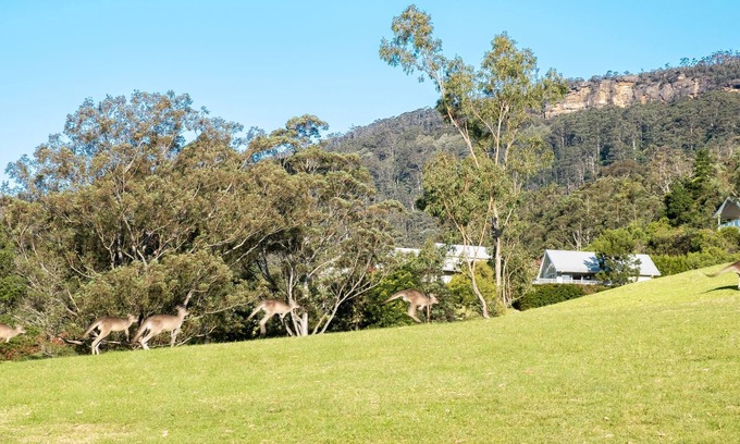 Kangaroo Valley Cabin | Enjoy outstanding views from this one bedroom cabin