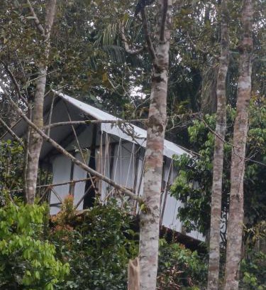 Bohorok Other | Escape Leuser Glamping