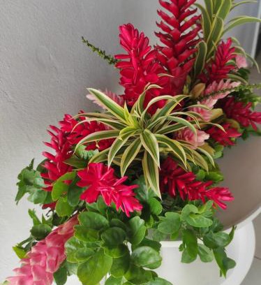 Sainte-Rose House | Espace Nature 97115