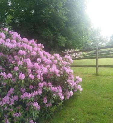 Weilrod Apartment | Etzauer Mühle-Mensch-Zeit-Pferd, Weilrod