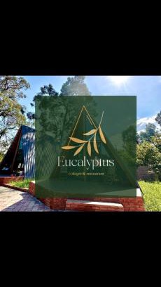 Chakvi House | Eucalyptus Cottages