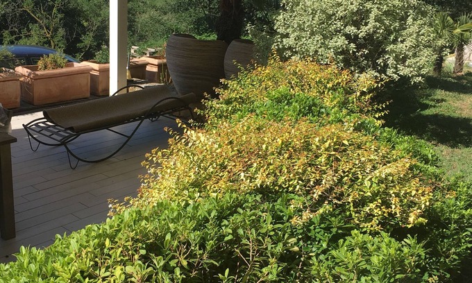 Montegrotto Terme Apartment | Euganean Hills Apartment