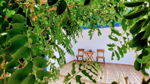 Milos House | Evaggelia Studio 2