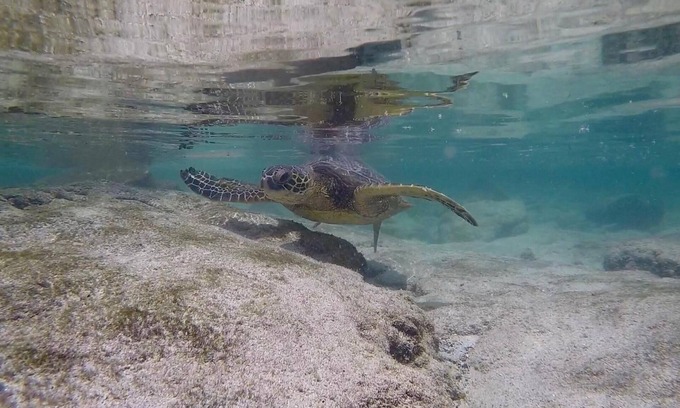 Historic Kailua Village Apartment | Experience historic charm near Kailua Pier