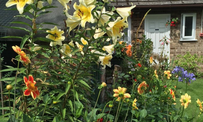 King's Lynn Bed & Breakfast | Fairlight Lodge