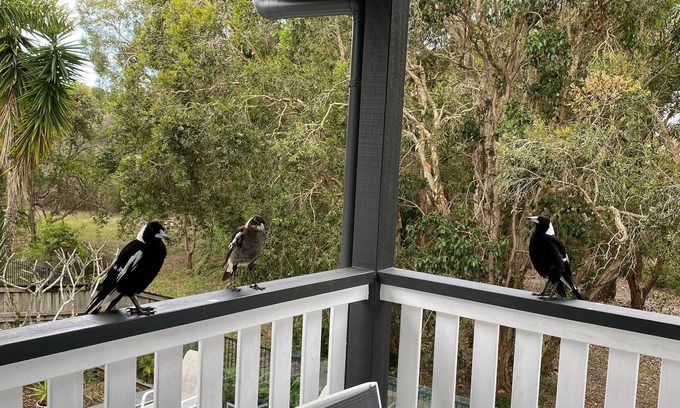 Ocean Shores House | ‘Falealili’ Whole Designer House with private access to beach