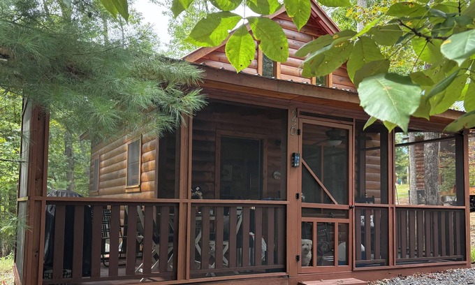 Murphy Cabin | Fall Into Comfort – Tranquil, Pet-Friendly Cabin with November availability!