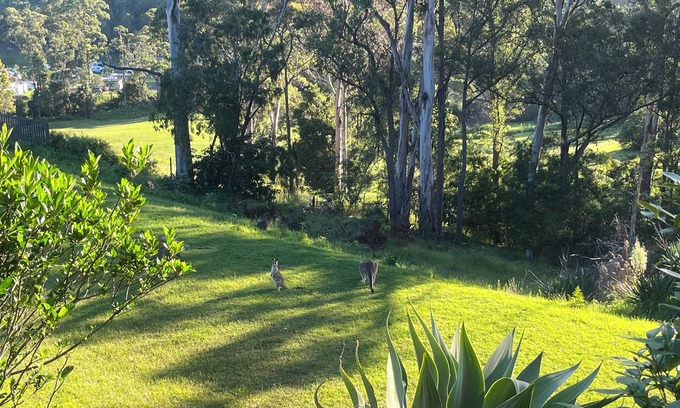 Merimbula House | Family friendly haven in the heart of the Sapphire Coast