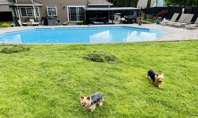 Puyallup House | Family vacation house; no parties/events